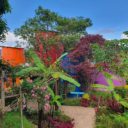 Chameleon Hill Forest Lodge Bwindi Impenetrable Park Eksteriør bilde