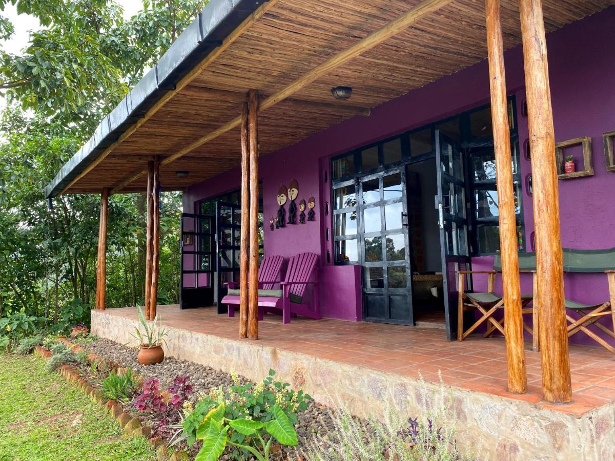 Chameleon Hill Forest Lodge Bwindi Impenetrable Park Eksteriør bilde