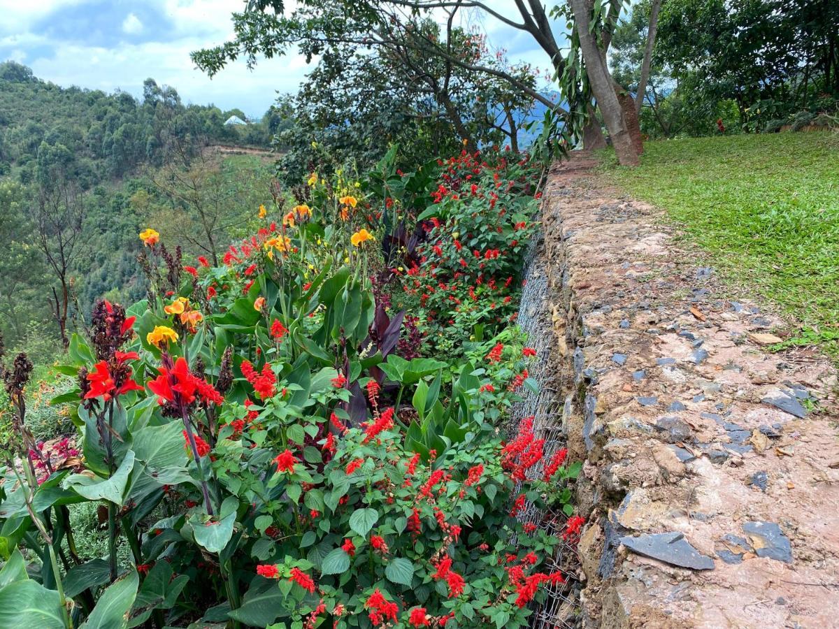 Chameleon Hill Forest Lodge Bwindi Impenetrable Park Eksteriør bilde