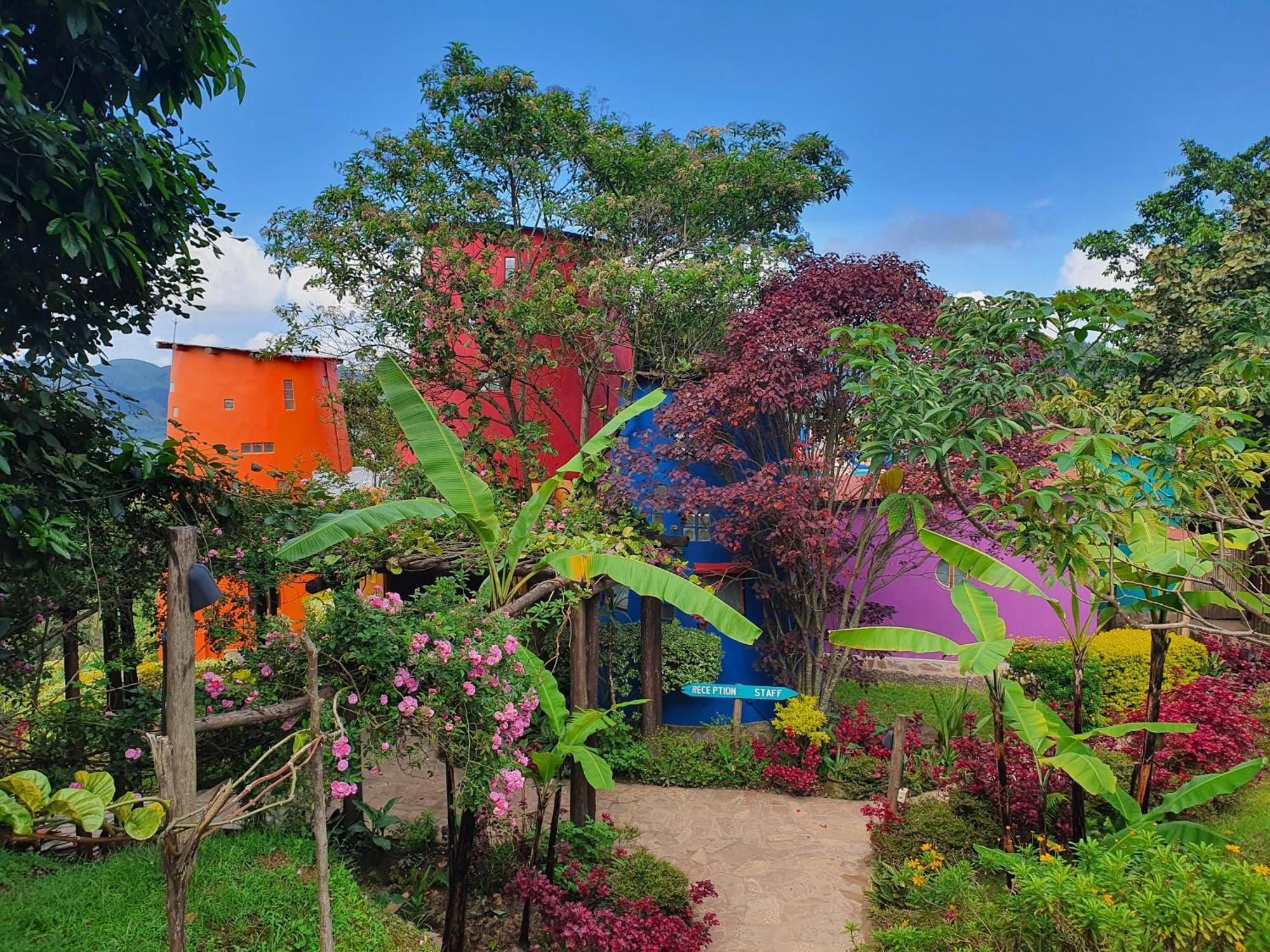 Chameleon Hill Forest Lodge Bwindi Impenetrable Park Eksteriør bilde